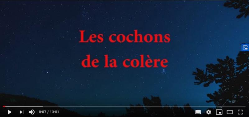 Video les cochons de la colère - Confédération Paysanne Ariège